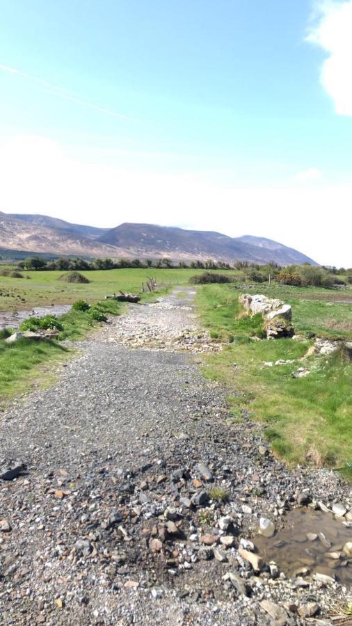 Neadin Beag Lägenhet Tralee Exteriör bild